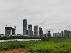 -华侨城湿地公园