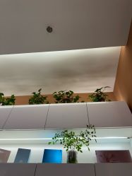 -希梵尔头皮抗衰·科技养发