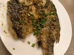 -狮龙啤酒烧烤屋(建二路店)