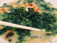 -顺德了能馆(虎门店)