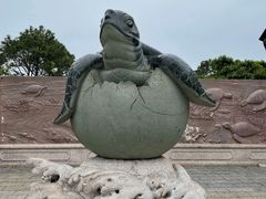-广东惠东海龟国家级自然保护区