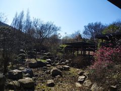-宝界山林公园