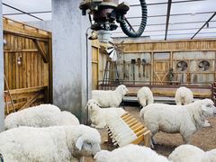 -OUR Bakery(SKP-S店)