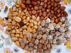 -东北田记家常菜