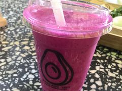 -油梨树AVOCADO TREE(顺义新国展店)