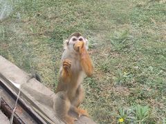 -石家庄市动物园