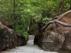 -汤旺河林海奇石景区