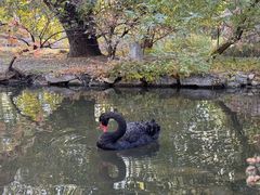 -北京麋鹿生态实验中心