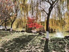 -宝鸡文理学院（石鼓校区））