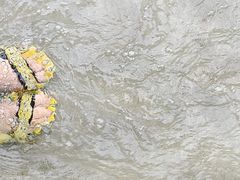 -永定河休闲森林公园