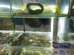 水产区-覃记海鲜美食餐厅