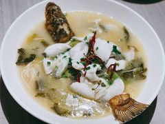 -龙猫意杯花园餐厅(芙蓉湖店)