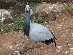 -昆明动物园