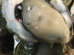 蒸蠔-邹记·美食(斗门店)
