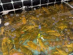 -川骄海鲜自助(河东店)