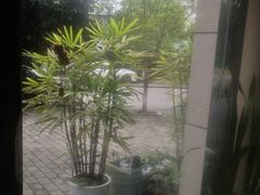 -重庆市江北嘴中央商务区中央公园