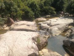 -广州白江湖森林公园