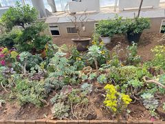 -沈阳植物园