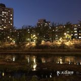 能开窗户了，夏天的时候这里也是一景呢