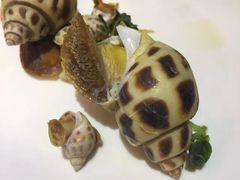 -海大大蒸汽海鲜餐厅·粤菜·特色小炒(欢乐颂店)