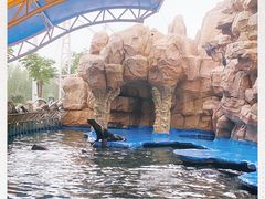 -华夏文旅海洋公园