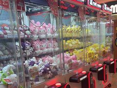 -汤姆熊欢乐世界(正大店)