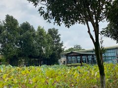 -洪湖家庭农场·团建·露营·会议