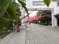 -靖港古镇