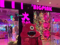 -BIG PINK大粉娃娃机主题馆(圆融星座店)