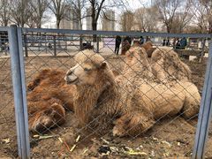 -长白岛森林公园