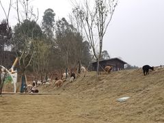 -黄龙溪欢乐田园