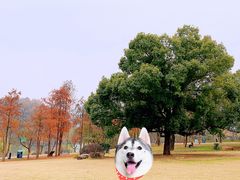-青山湖景区