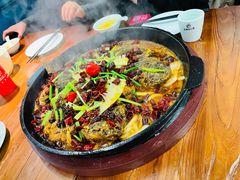 -老板恋上鱼(振华商厦店)