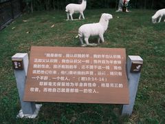-圣心大教堂