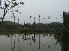 -枫香湖儿童公园