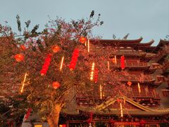 -大佛寺高级素食自助餐厅