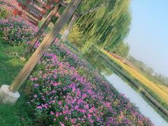 -乌村