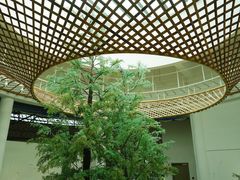 -同里国家湿地公园