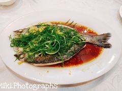 清蒸鱸魚-美居大酒楼(美居广场店)