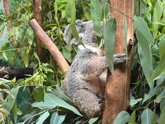 -味餐厅·海鲜·火锅·自助餐