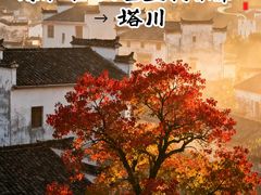 -塔川景区