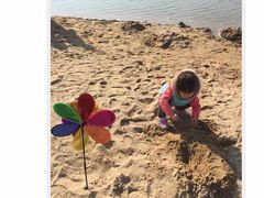 -大兴滨河森林公园