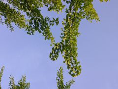 -中国传媒大学南广学院第1食堂
