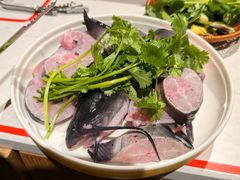 -老凯俚酸汤鱼(多彩城店)