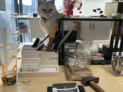 -Oasis绿洲银饰珍珠手作diy(壹方城店)