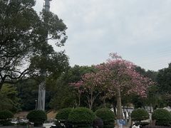 -凤岗南门山森林公园