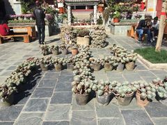 -寂照庵
