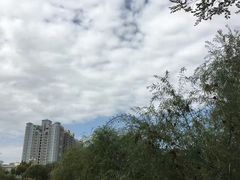 -东湖公园
