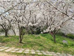 -苏州上方山国家森林公园