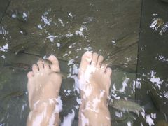 -三亚珠江南田温泉度假区